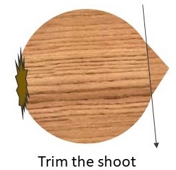 how to remove the skin from an onion